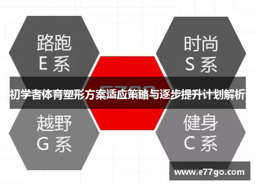 初学者体育塑形方案适应策略与逐步提升计划解析